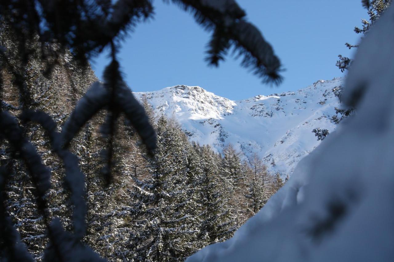 Chez Pierre Apartment Praz-de-Fort Bagian luar foto